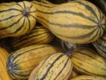 Delicata Busch "Sweet Potatoes"